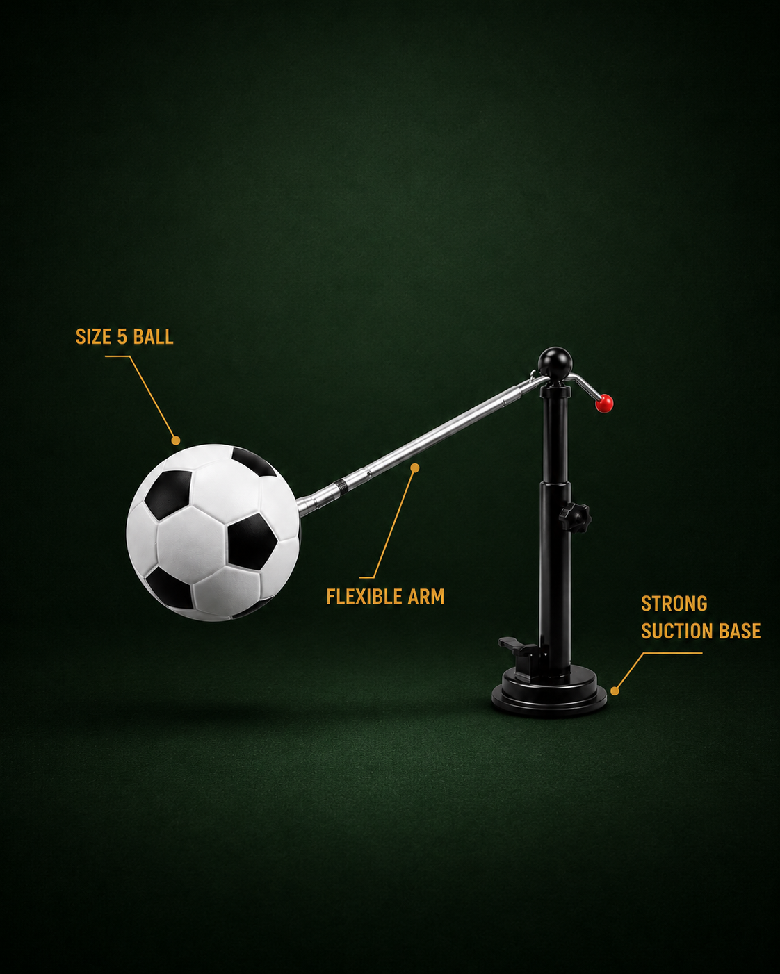 NUVOBALL360
